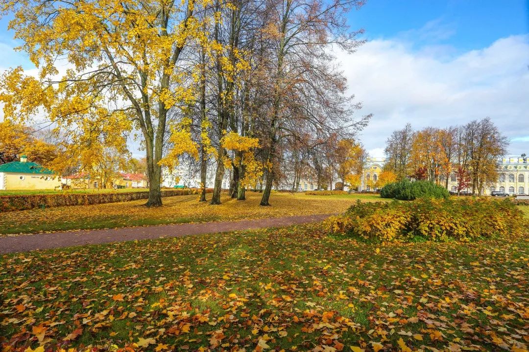 gDS6Ae8EicY1mjpaZ5R1p7nicdhDCPTzG7UiaibN2ic5FhvxETzDtDW3mpyT gDS6Ae8EicY1mjpaZ5R1p7nicdhDCPTzG7UiaibN2ic5FhvxETzDtDW3mpyT