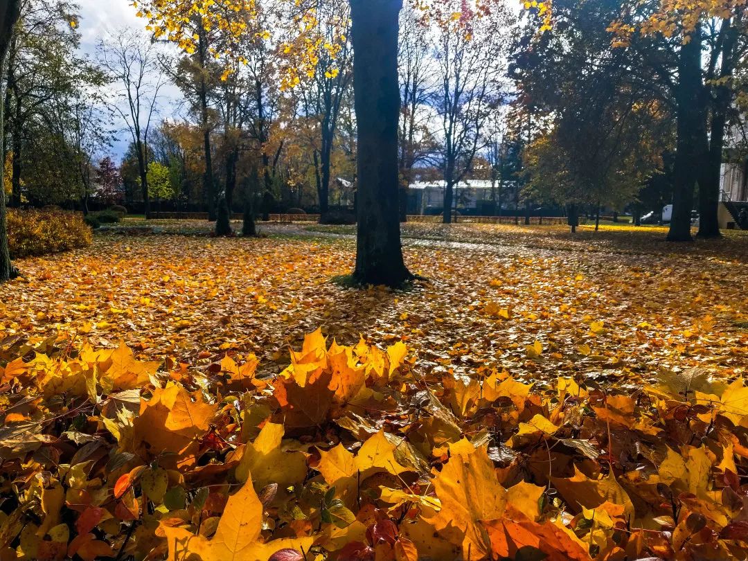 gDS6Ae8EicY1mjpaZ5R1p7nicdhDCPTzG7vEe7cDONrz7YJoydyAKsTenv70 gDS6Ae8EicY1mjpaZ5R1p7nicdhDCPTzG7vEe7cDONrz7YJoydyAKsTenv70