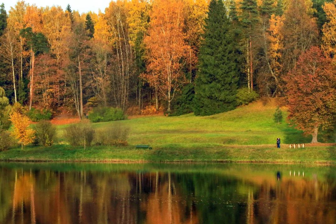 gDS6Ae8EicY1mjpaZ5R1p7nicdhDCPTzG7hWJWU8SC4PXIVyBHic533wMQ1V gDS6Ae8EicY1mjpaZ5R1p7nicdhDCPTzG7hWJWU8SC4PXIVyBHic533wMQ1V