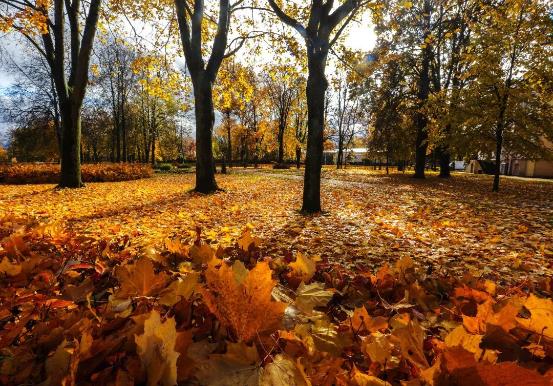 gDS6Ae8EicY1mjpaZ5R1p7nicdhDCPTzG7NfpTDFmc8ubIKGpTDKWO0icwka gDS6Ae8EicY1mjpaZ5R1p7nicdhDCPTzG7NfpTDFmc8ubIKGpTDKWO0icwka