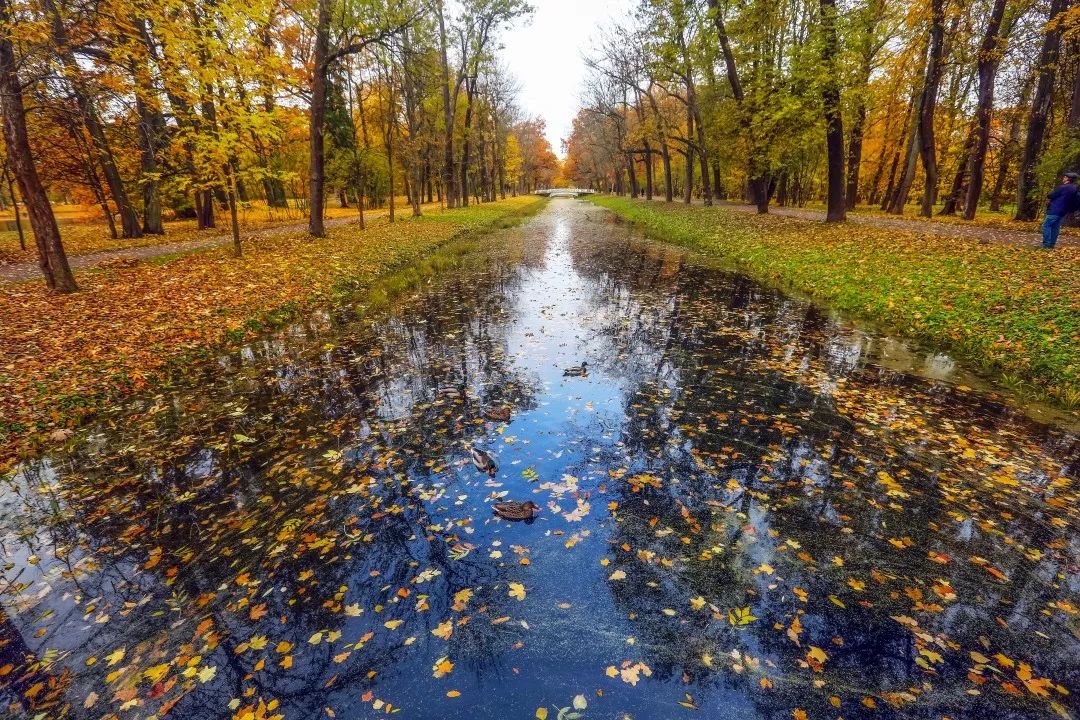 gDS6Ae8EicY1mjpaZ5R1p7nicdhDCPTzG7FzzKtC1V6wTFvTtzrspOcr3ecS gDS6Ae8EicY1mjpaZ5R1p7nicdhDCPTzG7FzzKtC1V6wTFvTtzrspOcr3ecS