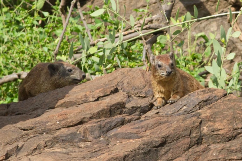 211750vr1sxsyy6sdvyrx5