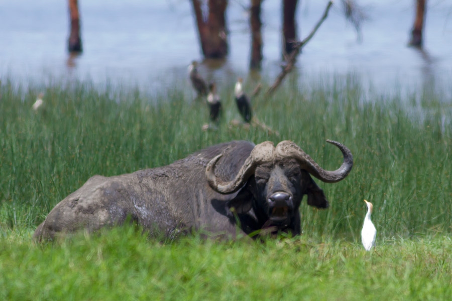 020543oiyhikzniini6yi5