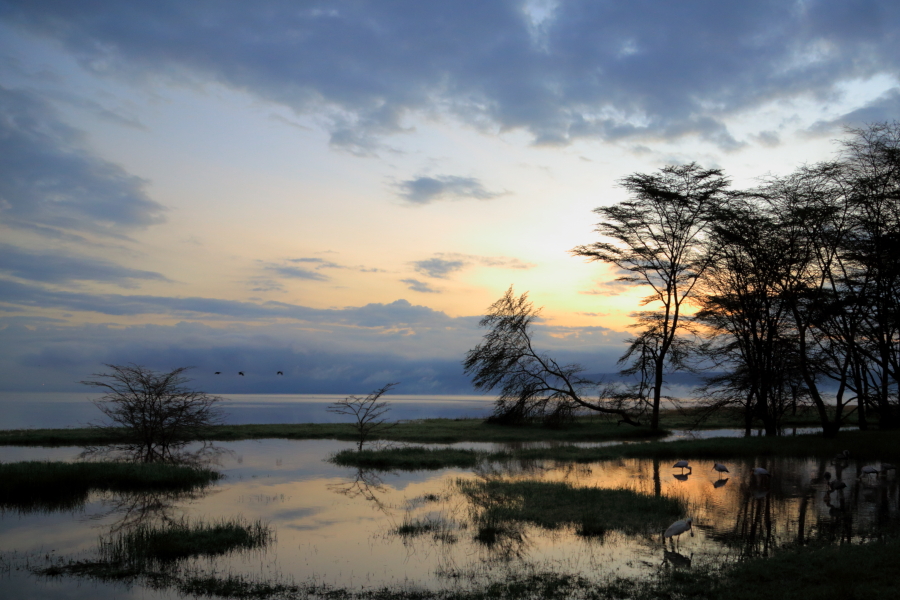 2033443zdksbbjk1qgnq5z