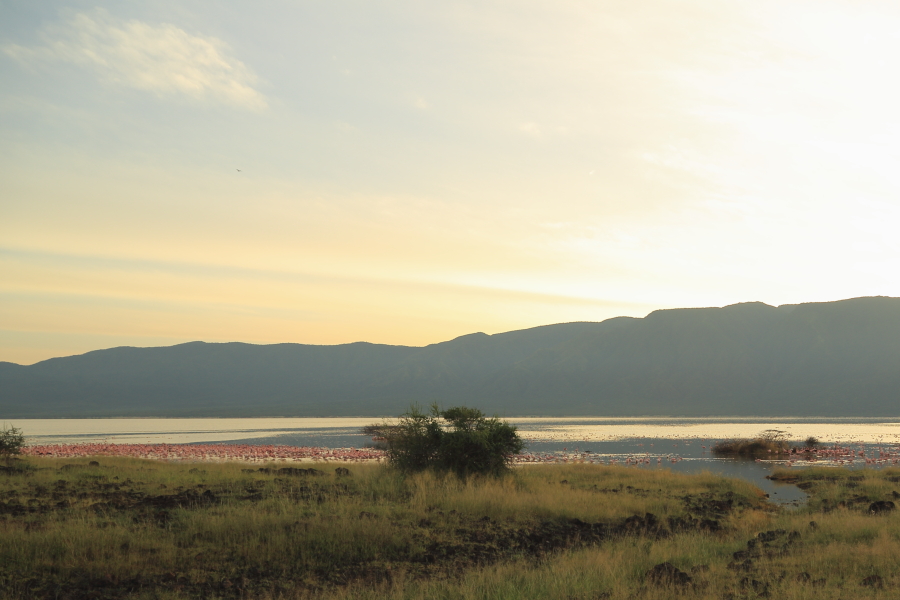 203133lr73723b1ji287an