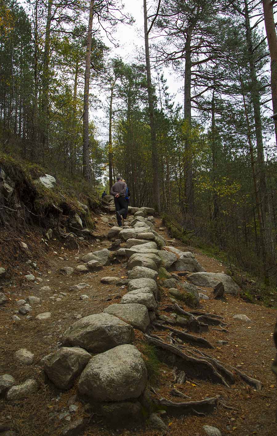 115049frr0vr0sg4fv323i