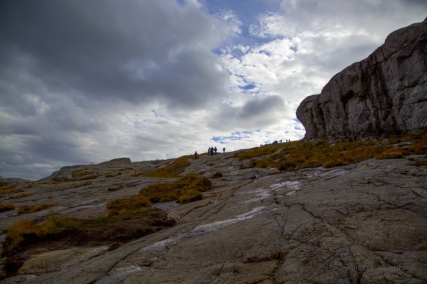 115848q0gfx8u85jwxxjuf