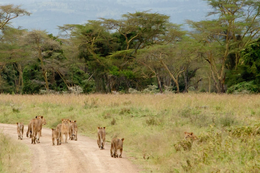 020501ca7unj3b37s7yx35