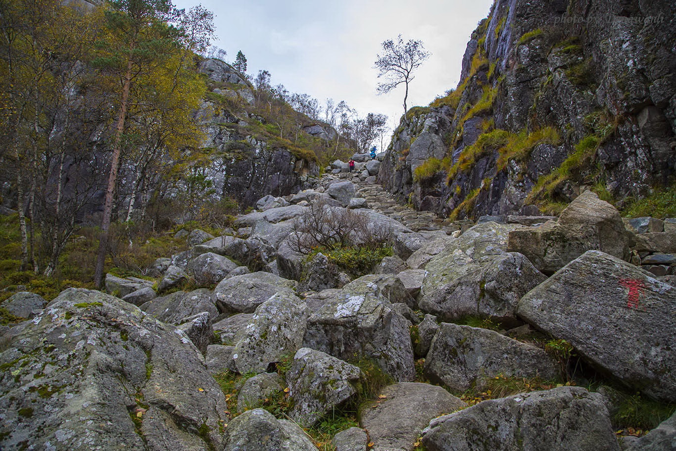 115403xrtfryqw2xy99ee1