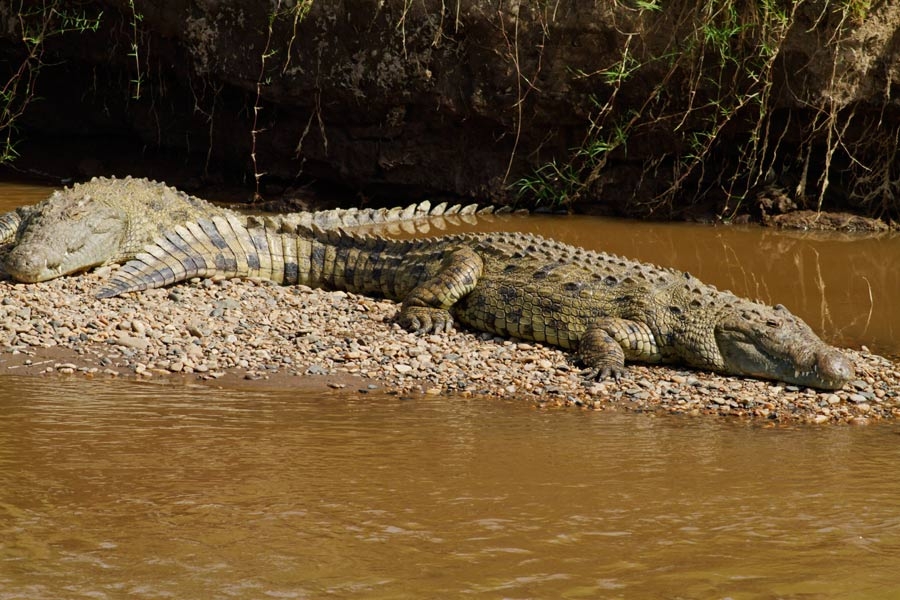 2034391ot6c90w1j9hz4jt