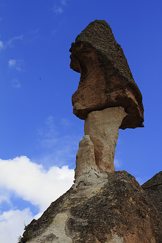 194211edphdlxl0p19qezh