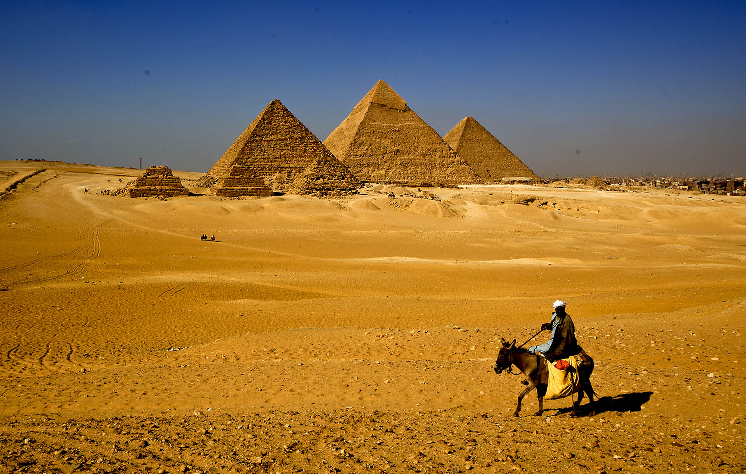 224110vz3hm66nzqr7xx5y