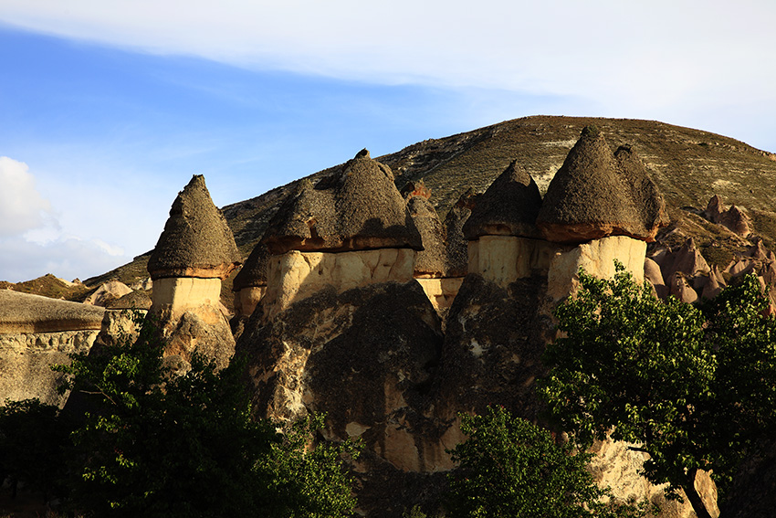 194034e188lb22fcfi33z8