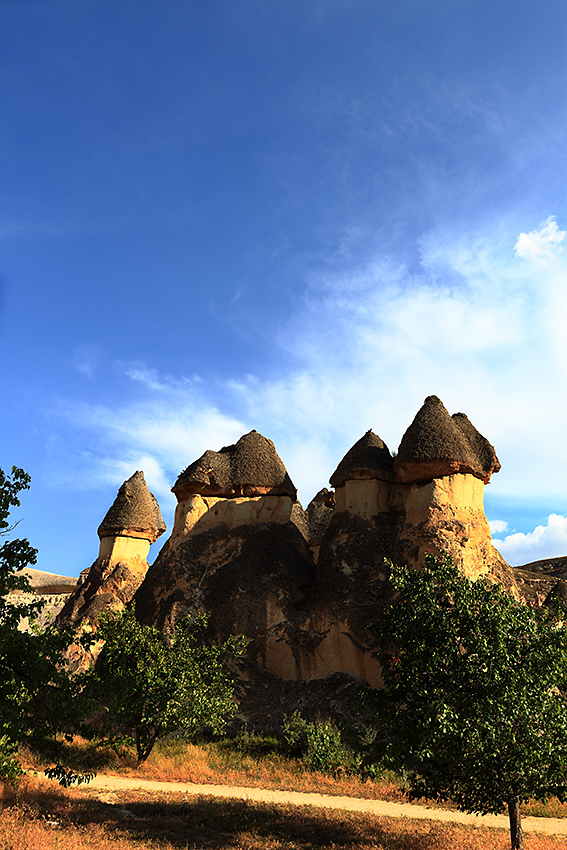 194223gmr5r889pjoinri5