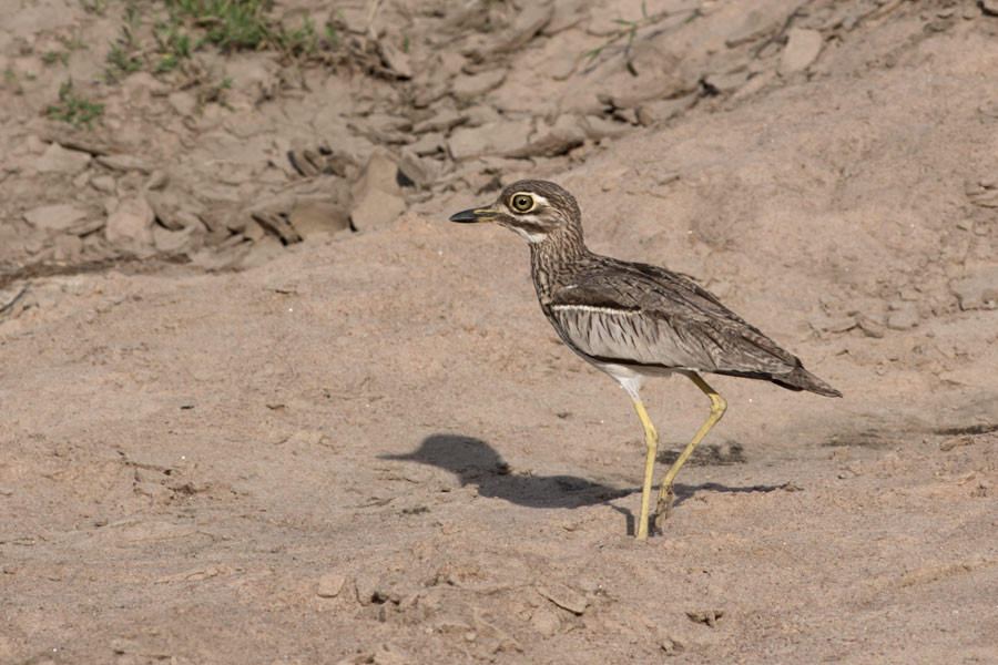 231613q1u1qqtmw741qg36