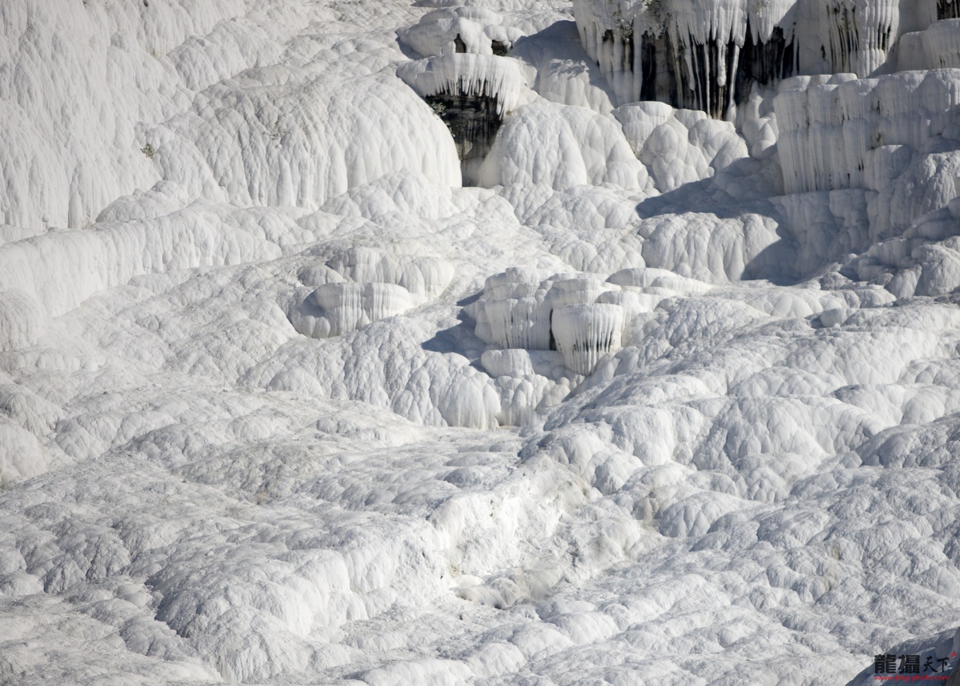 1110082102df226c9d66f54cc7