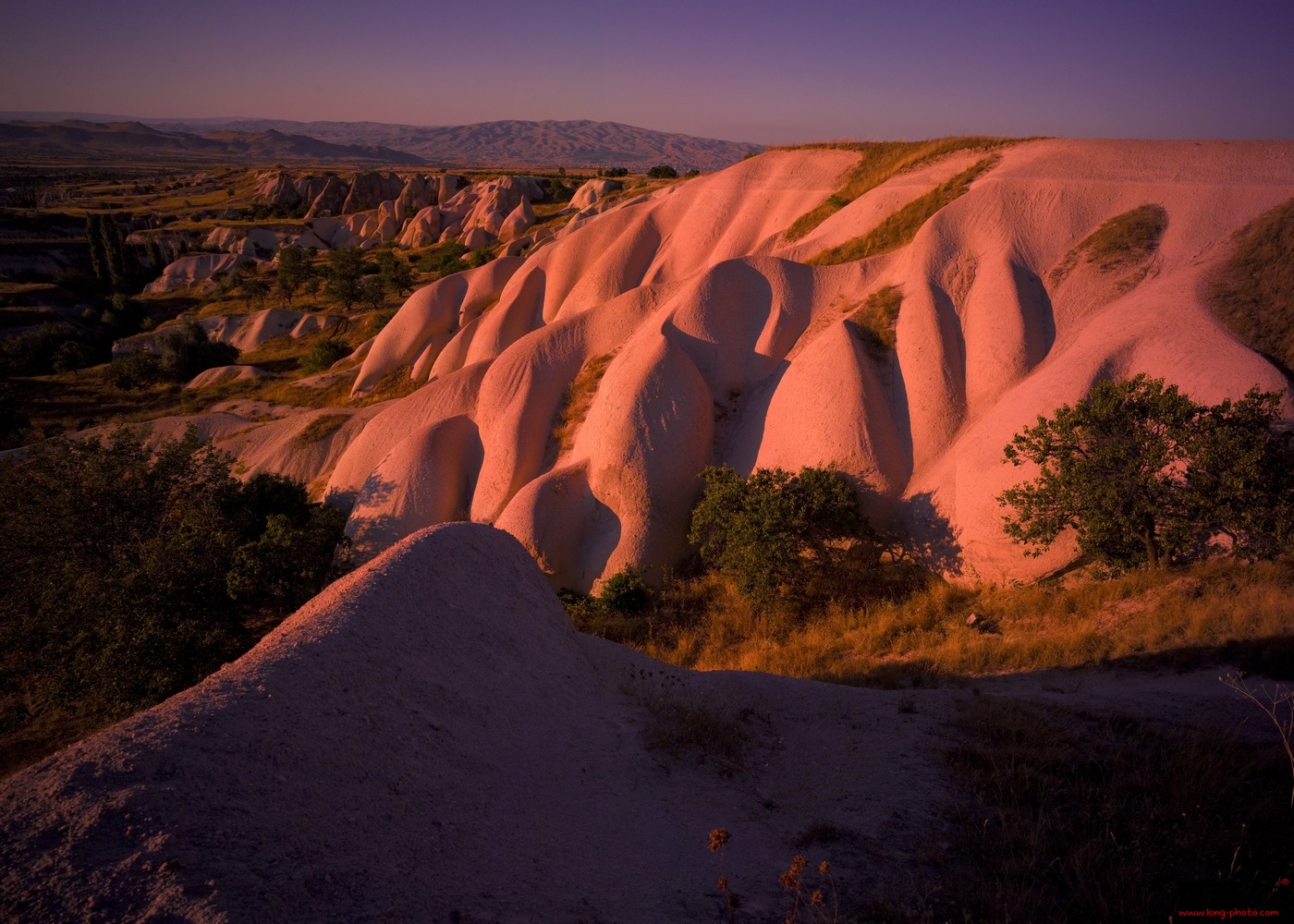 11090402333ab352e0de84c206