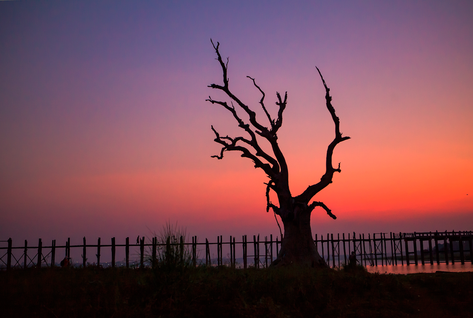 145352nymimy44mpwwhqzi