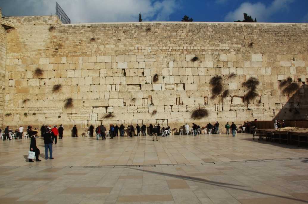 151614t5e5t7v6h1esiezt