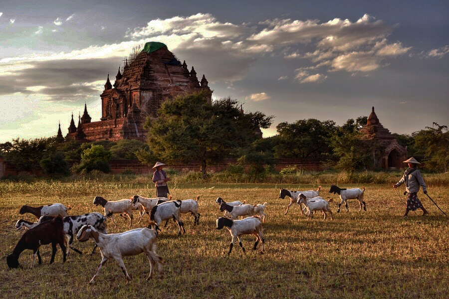 211922y7mfbbf73bwbcf77