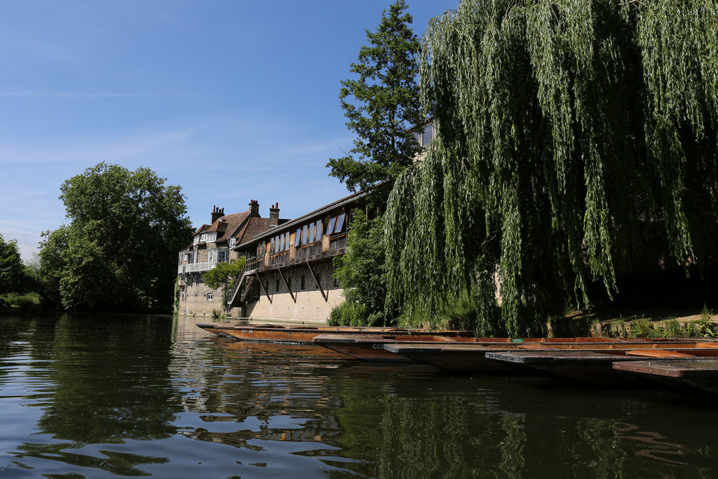 174425borovj8tyk9jjoj9