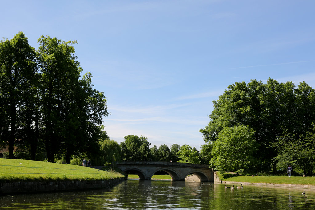 174125a8obyob1f1nkofbk