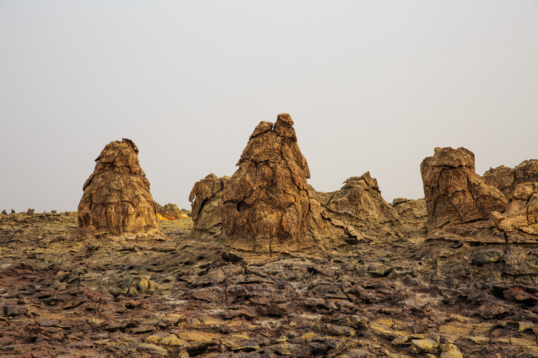 111546r2cxu4xxca1nlbu2