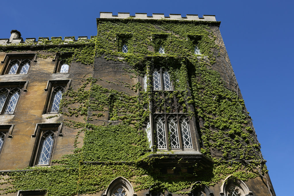 174201t7owwzxn1jon75kz