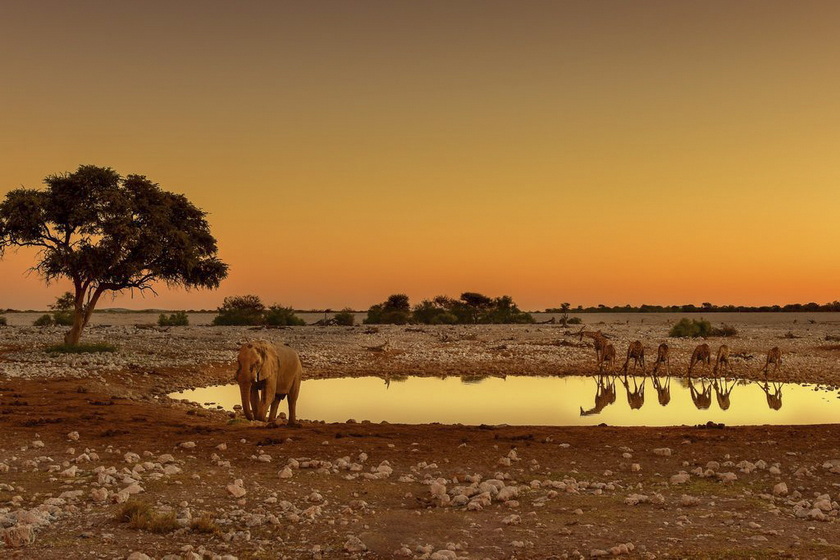 2026.5.29 納米比亞、博茨瓦納及維多利亞瀑布攝影團(tuán)——掠影南部非洲精華