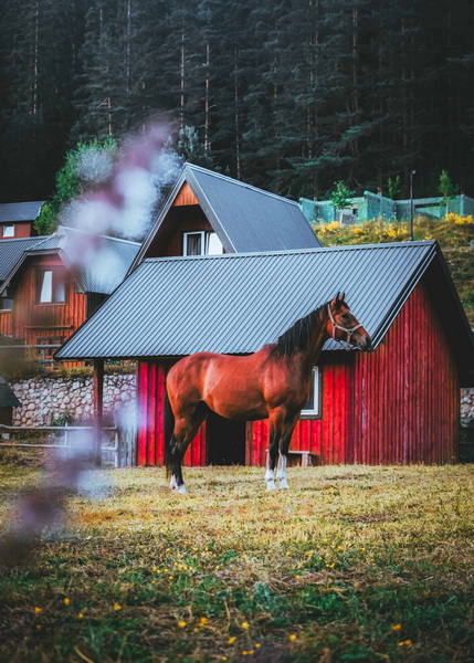 杜爾米托國家公園-3