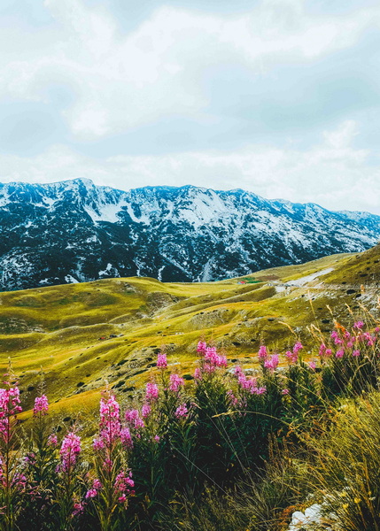 杜爾米托國(guó)家公園-4