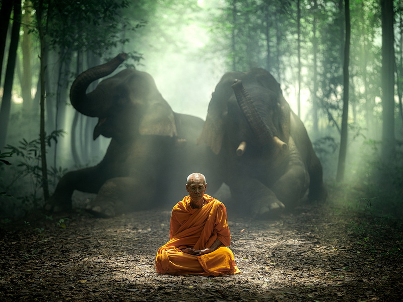 _DSF6016-編輯 拷貝