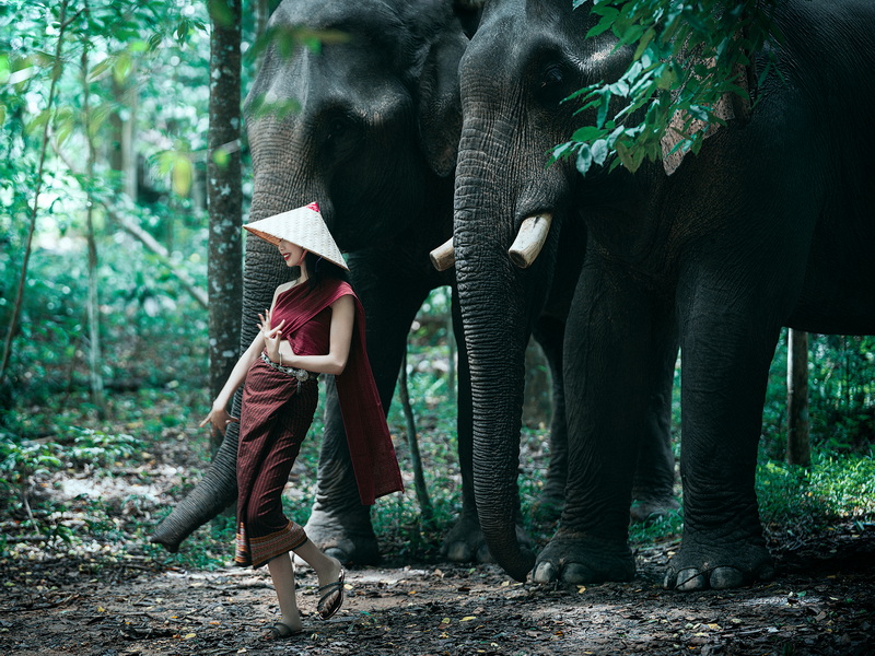 _DSF6139-編輯 拷貝