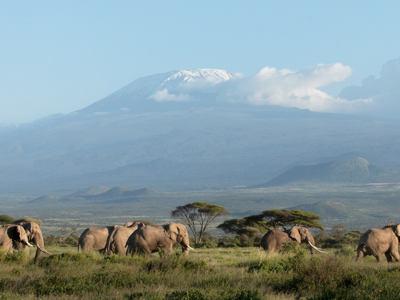 微信圖片_202303171432275