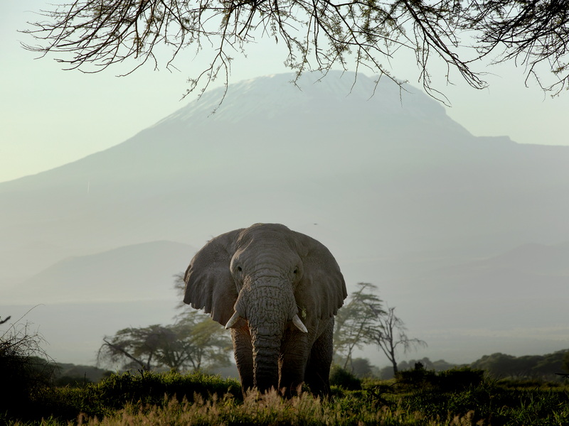 微信圖片_202303171432276