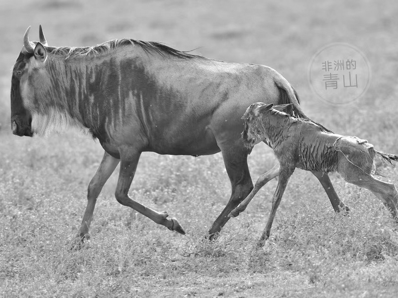 微信圖片_20240822140154