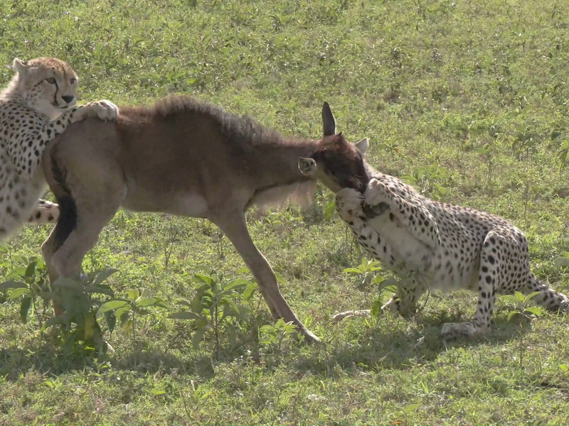 微信圖片_20240909105648