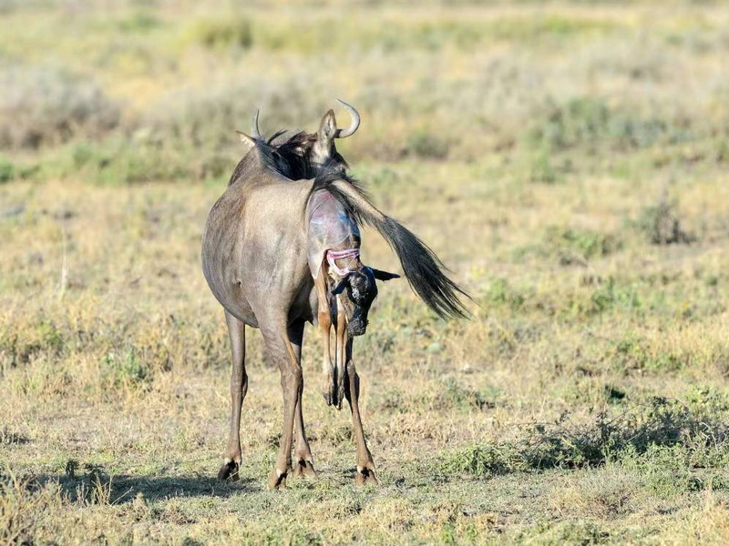 微信圖片_202409090958202