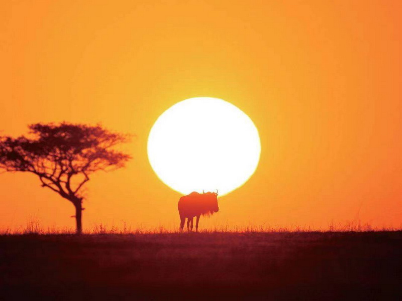 微信圖片_20240822140353