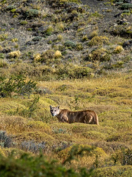 微信圖片_20240925155825