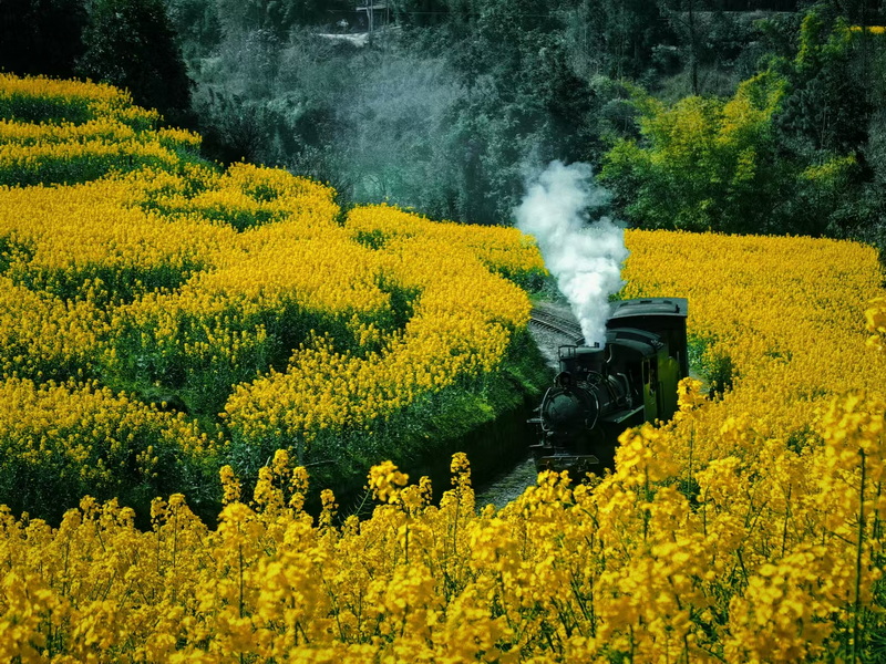 嘉陽(yáng)小火車(chē)