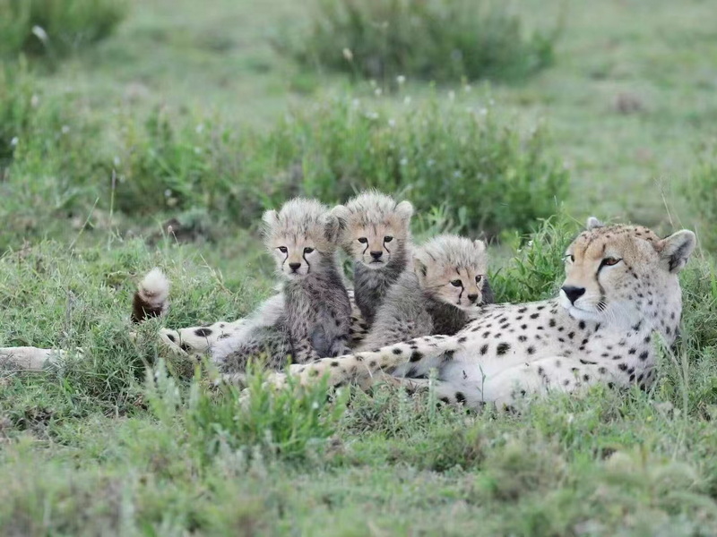 微信圖片_20240913105726