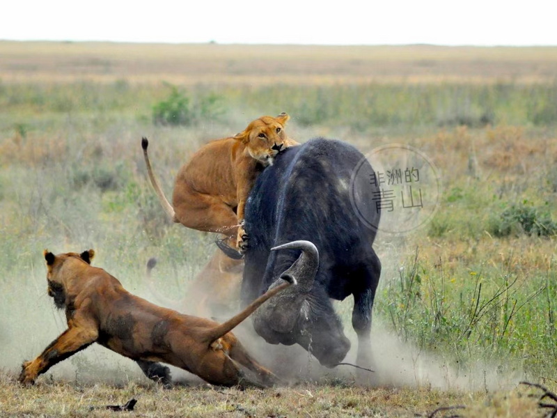 微信圖片_202311021034114